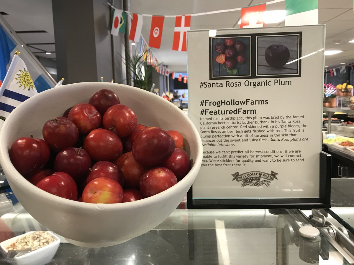 bonappetweet's tweet photo. Hands Down the best fruit in town! Check out our seasonal hand fruit from our local #FeaturedFarms throughout the cafeโs.
#FrogHollowFarms#FullBellyFarms https://t.co/SJhDdKJoUy