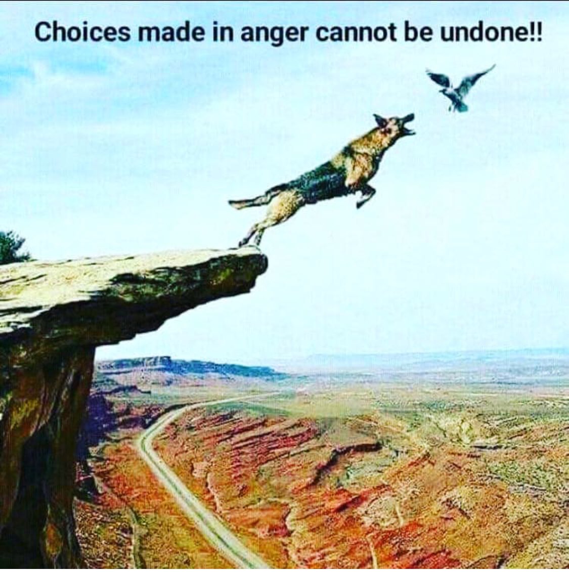 bodybynes's tweet photo. https://t.co/UJWP6ZyXj5