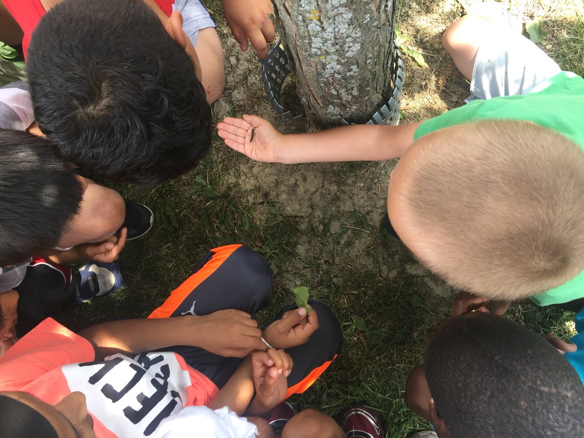 Maria Candito -The Budding Educator (@airamxmaria) on Twitter photo Catching bubbles, finding caterpillars, painting with water, being in nature. 💙 <a href="/CherrytreePS/">Cherrytree PS</a> Catching bubbles, finding caterpillars, painting with water, being in nature. 💙 <a href="/CherrytreePS/">Cherrytree PS</a>