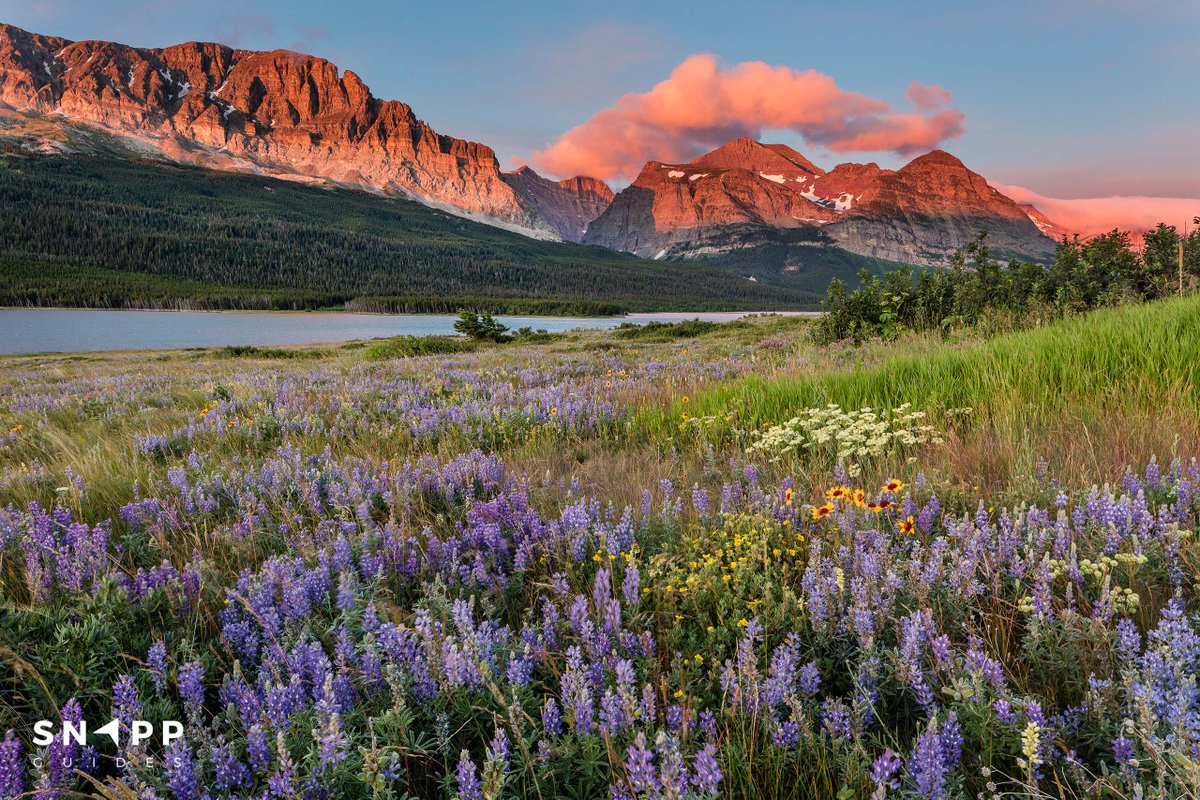 великие равнины северной америки. прерии северной америки. без прерий. низкотравные прерии. прерии северной америки.