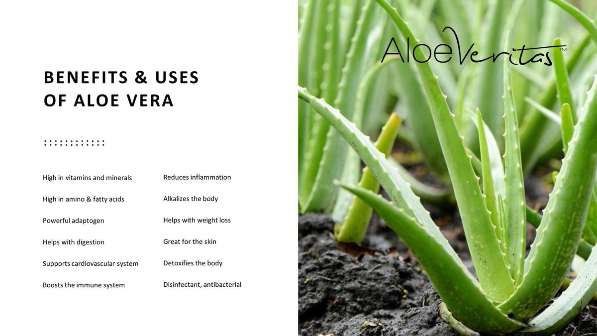 Aloe Veritas (@veritas_aloe) / Posts / X