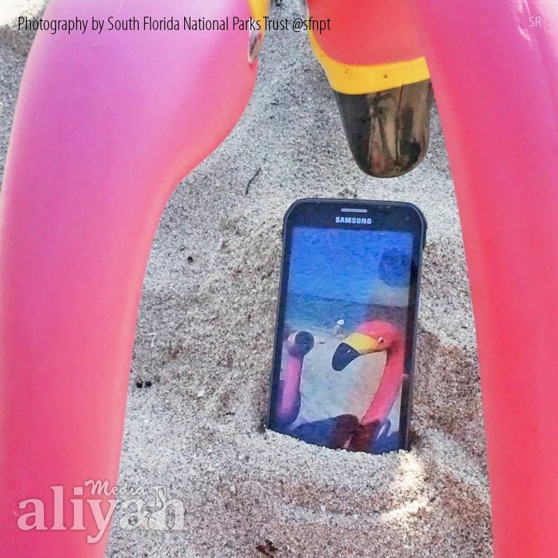 AliyahMedia's tweet photo. “But first! Let me take a selfie!”

Follow these 3 popular tips to get the best #selfie: 1 Know your angles, 2 Use natural lighting, 3 Know your camera’s angle

What other #tips do you know? 

#nationalselfieday #smile #fun #aliyahmedia 📸: @sfnpt

https://t.co/T83fxsfIvE https://t.co/mOL93oPWEJ