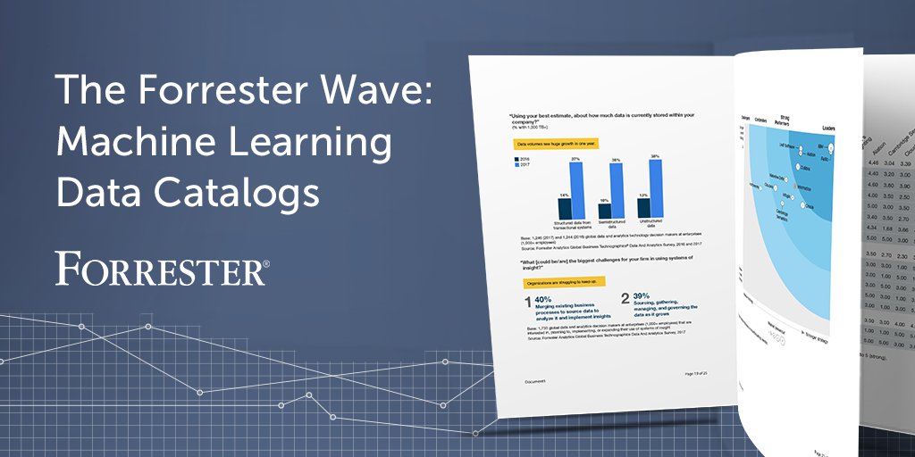 forrester wave machine learning data catalogs