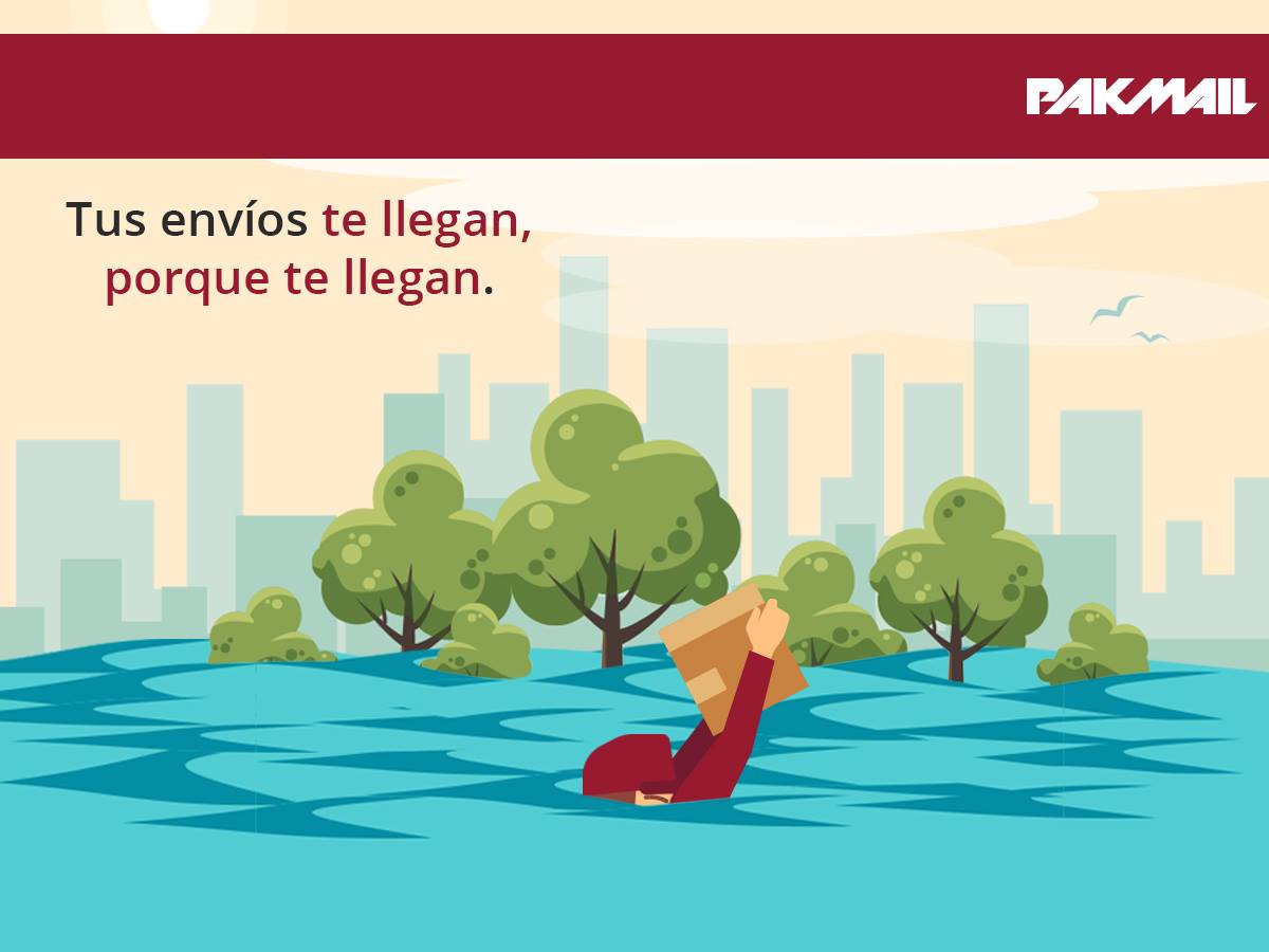 pakmailmty's tweet photo. Hacer #envios desde #Monterrey es muy facil con #Pakmail, desde local, nacional e internacional. 

Cotiza con nosotros!😃 
https://t.co/KCJ2K5hn9N 
Whatsapp: 8119107085
Teléfono: +52 (81) 83735575
Teléfono: +52 (81) 83731284
#shipping #feelfree https://t.co/taJOAkPtxx