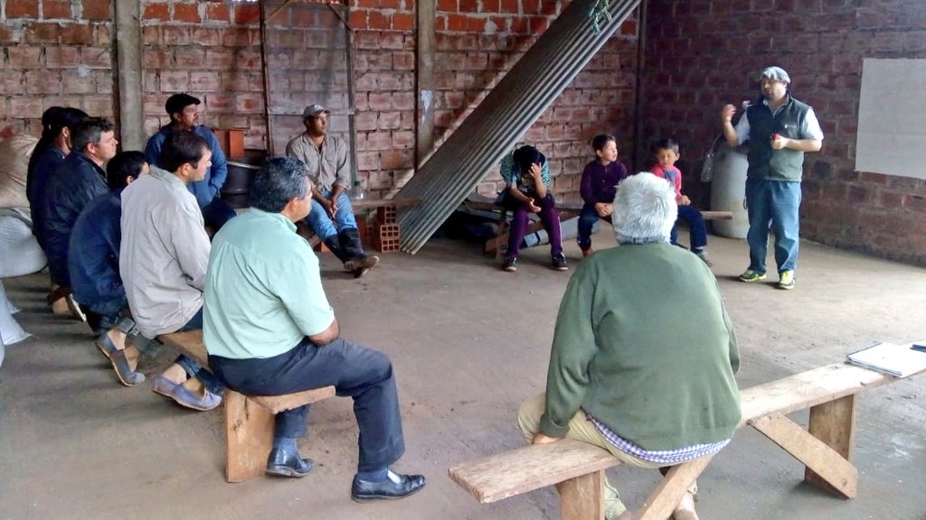 safmisiones's tweet photo. San Pedro l #Capacitación en manejo, alimentación y sanidad de la producción porcina 🐖. Participan 11 agricultores de la organización Productores Unidos de Ruta 20. 

@FelipeCrespo45 @hardiesanti https://t.co/FLc7q4y9nQ