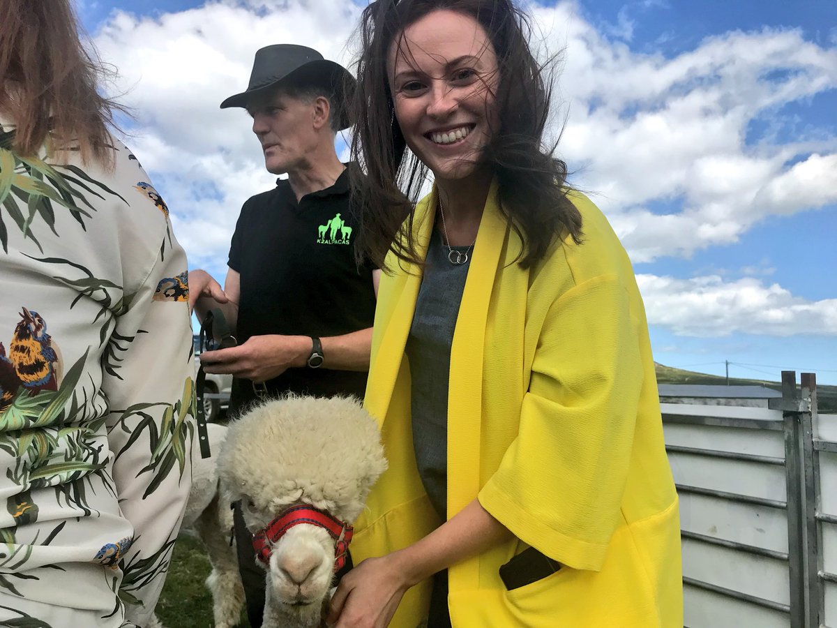 OrangeworksIE's tweet photo. Trekking the #WicklowHills with @K2Alpacas #DruidsSummer #WicklowChallenge #CreatingExperiences https://t.co/BNMHb8tfFB