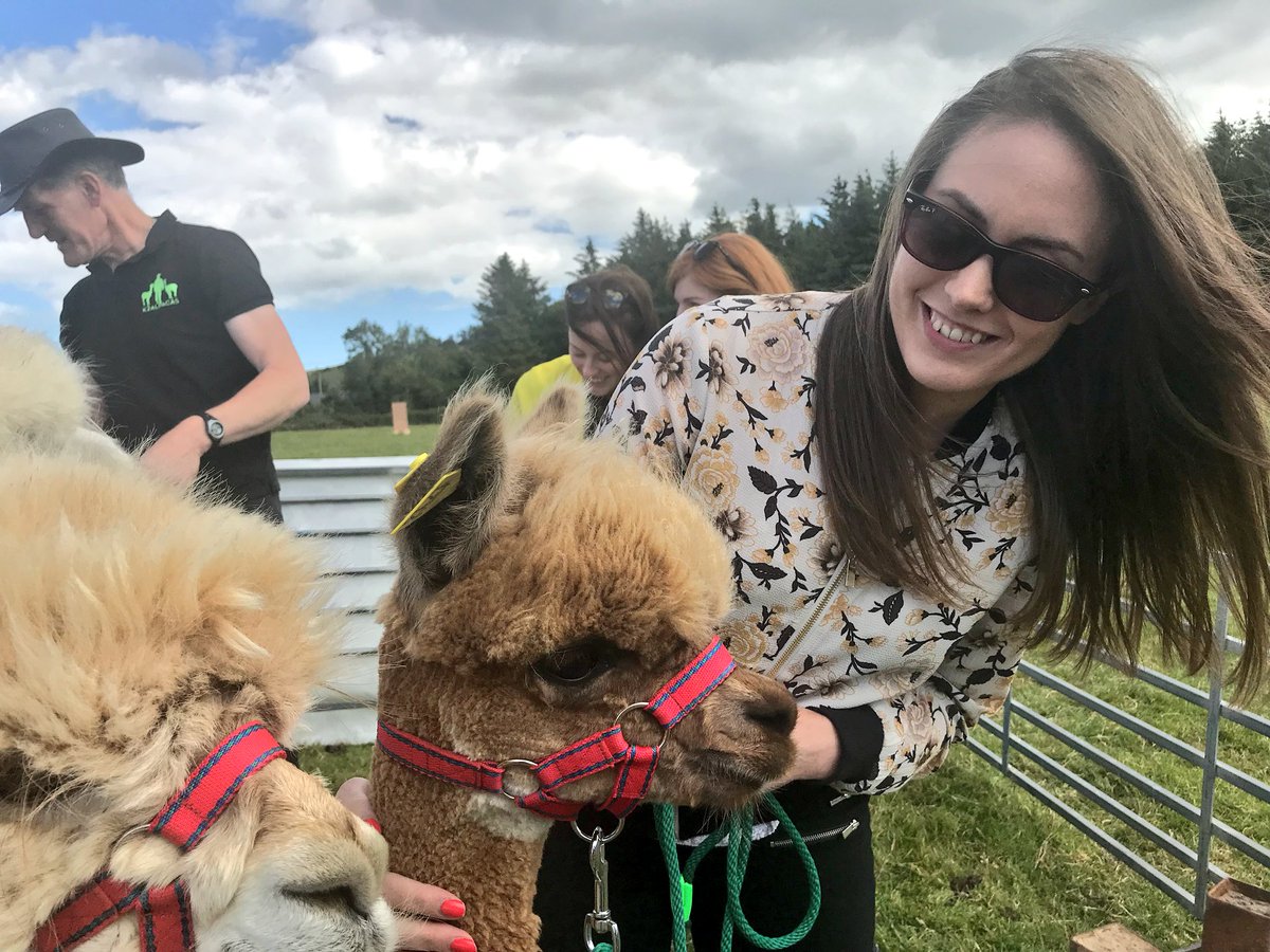 OrangeworksIE's tweet photo. Trekking the #WicklowHills with @K2Alpacas #DruidsSummer #WicklowChallenge #CreatingExperiences https://t.co/BNMHb8tfFB