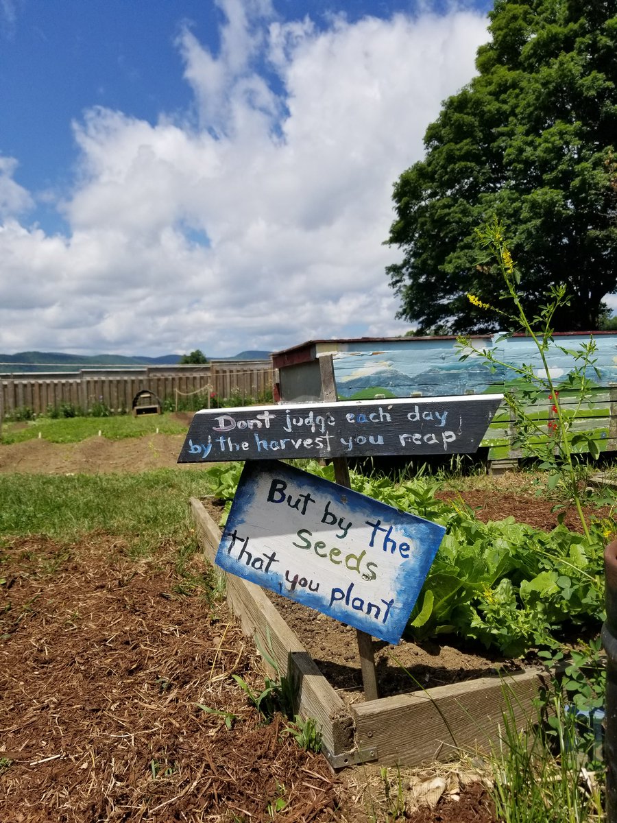 Garden words of wisdom. #Farmsforcitykids #Springbrookfarm #diginvt #rootedinvt #FirstDayOfSummer #KindnessMatters #plantlove #seedsofkindness