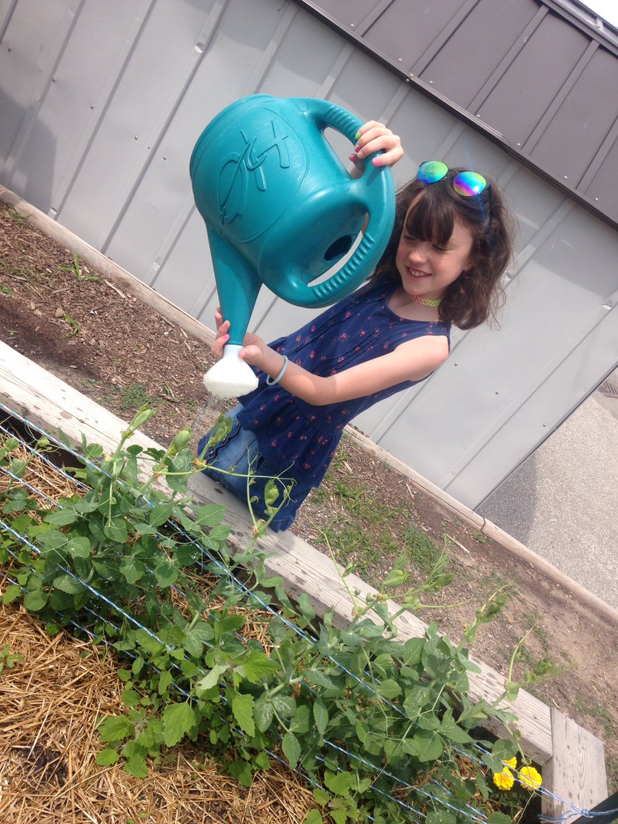 cobrasLS's tweet photo. Basil tasting today @accesscounty @KPSgarden https://t.co/vYWCHocTZ2