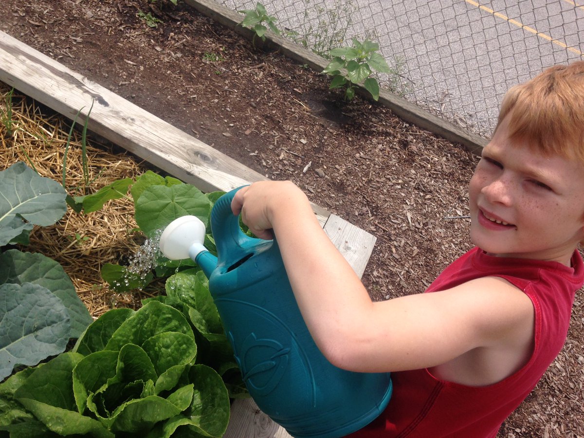 cobrasLS's tweet photo. Basil tasting today @accesscounty @KPSgarden https://t.co/vYWCHocTZ2