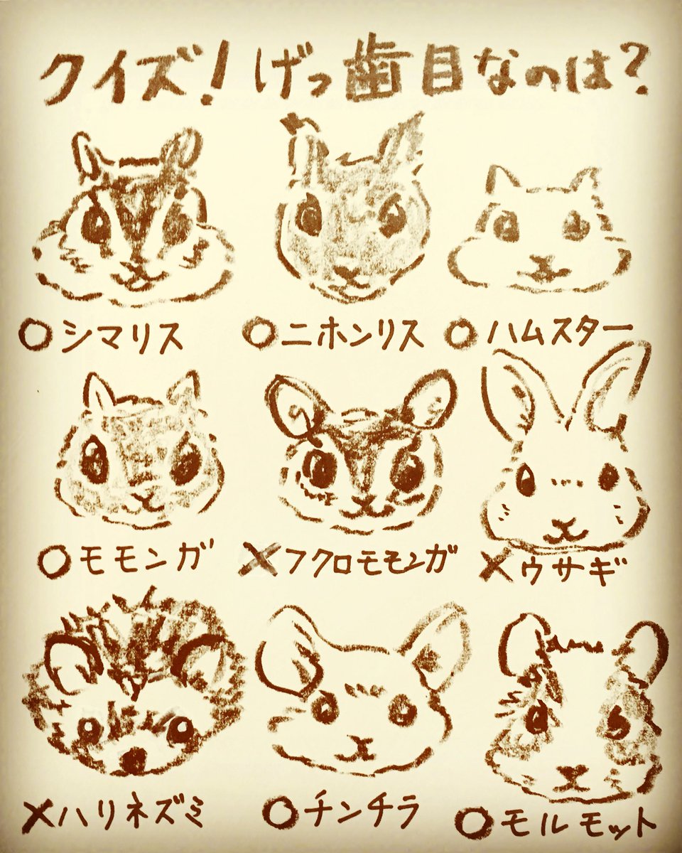 Little Shop 福士 高円寺cream企画展 ぽたかふぇコーヒー展 Twitterren おやすみリス 1日1絵 6月21日 今日は何の日 夏至 げっしーの日 ウサギ ハリネズミ フクロモモンガはげっ歯目と思われがちですが リス シマリス りすが好き 小動物 ラブほお袋