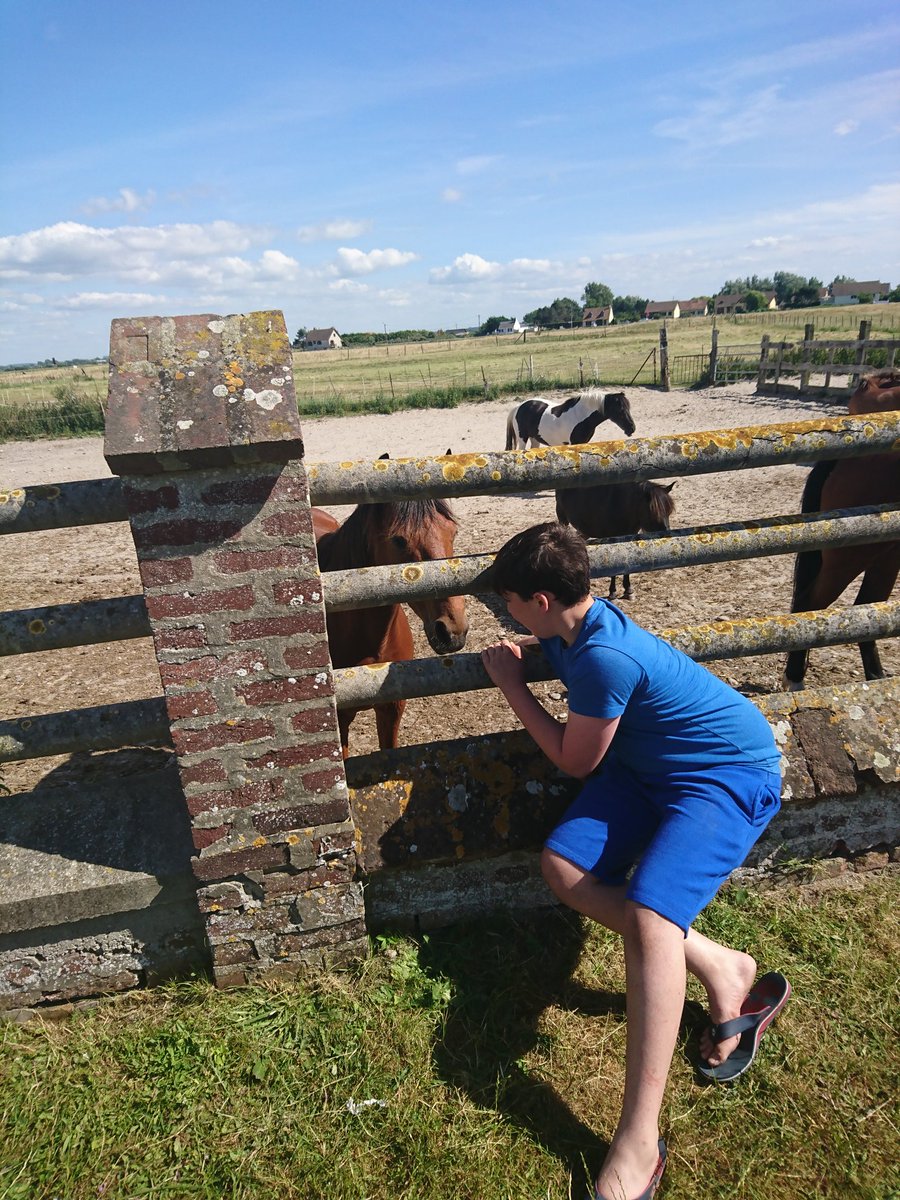 frenchtrip2018's tweet photo. Getting to know our neighbours, apparently they speak excellent French! https://t.co/zANajQSQTS