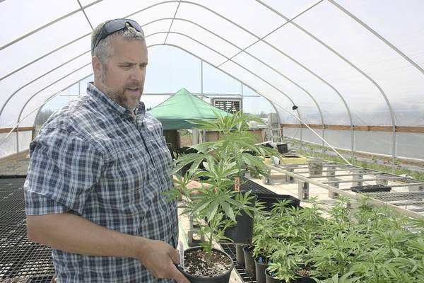 capitalpress's tweet photo. Congress may make versatile crop legal after decades in the shadow of marijuana. https://t.co/aznszGYJFB https://t.co/zrPOWgnJbH