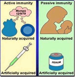 BiologyExams4U's tweet photo. Difference btw Active and Passive Immunity. Simplified concept https://t.co/oIRWrpX50L
#cell #Biology #biologico #apbio #IGCSE #gcsebiology #ocrbiology #Alevelbiology #NEET #cbsebiology #biologystudent #biomajor #majordifferences #AQAbiology #igcsebiology #immunology https://t.co/jBUTnKEZoO