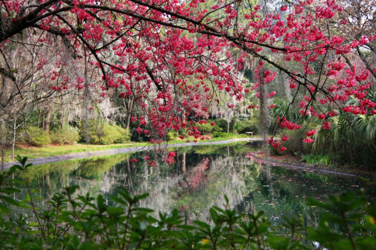 Florida State Parks On Twitter Find Your Zen With Garden Yoga At