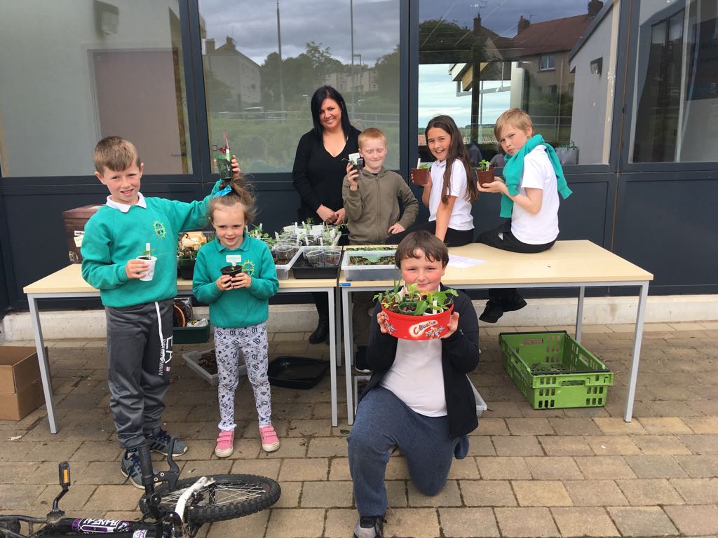 ManorParkSch's tweet photo. @mrsbanksmp Developing our community links and sharing our learning. Sustainability Club and P6s were given away free plants today. #ourcommunity #betterworld #seed2feed https://t.co/AP6MNOlcjf
