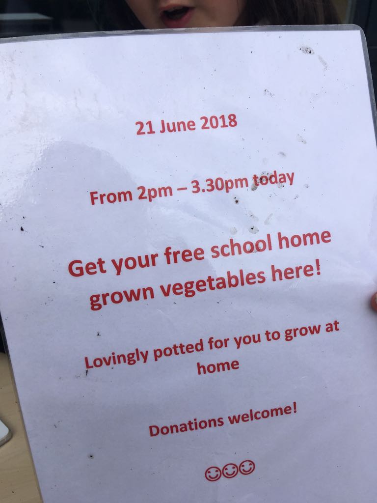 ManorParkSch's tweet photo. @mrsbanksmp Developing our community links and sharing our learning. Sustainability Club and P6s were given away free plants today. #ourcommunity #betterworld #seed2feed https://t.co/AP6MNOlcjf
