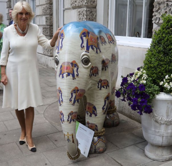 elephantfamily's tweet photo. What a treat for little Babar Travels to London by Adil Ahmad who met someone very special today at the official launch of #ConcoursDÉléphant Find out more https://t.co/qqqMemktO5 https://t.co/89YYbTdKR8