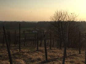 Alto Piedmont Nebbiolo - 2012 Ghemme
Brigatti Oltre il Bosco Ghemme, 2012
bit.ly/BrigattiGhemme…
@winefreako #AltoPiedmont #Nebbiolo