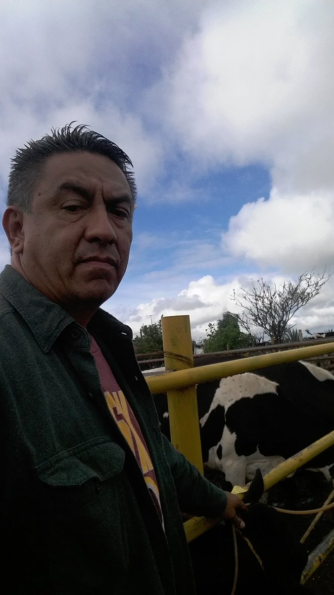 jjortegan's tweet photo. Revitalizando becerra https://t.co/vnq0HEaKql