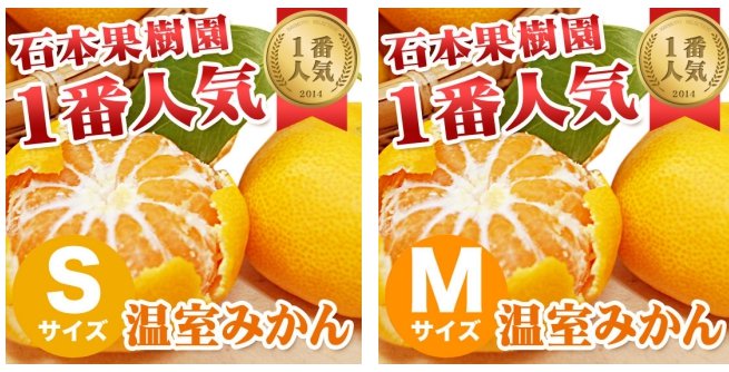 【超おすすめ☆2018年 石本果樹園「温室みかん（ハウスミカン）」】

40種類以上の蜜柑を育成する、三代目蜜柑農家「石本果樹園」で、一番人気☆温室蜜柑の販売が開始。宜しくお願い致します。 三重県 東紀州 紀宝町 販売ページ→isimotokajuen.com/?mode=cate&cbi…