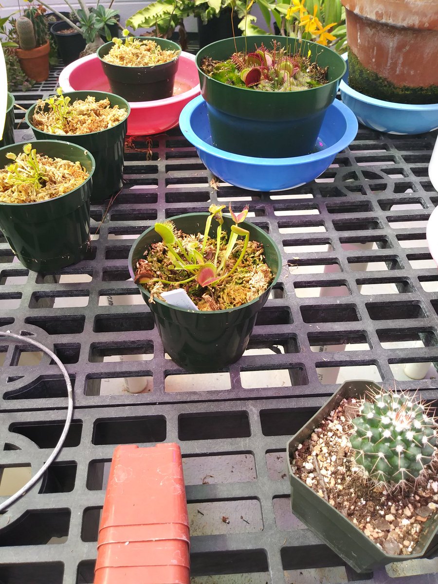 RachelElliottEd's tweet photo. Touring the Noble Research Institute today! @OSU_PLANTS @OSUplantsoilsci https://t.co/PCE1w3v86t