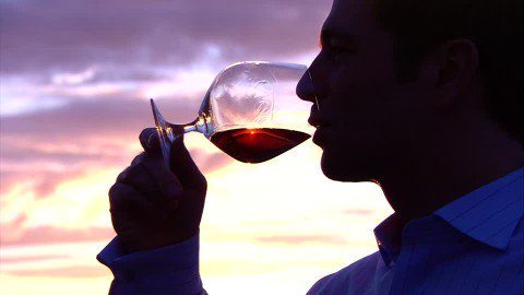 GranLicor's tweet photo. #SabiasQue El coñac puede tomarse como aperitivo o como digestivo. Se recomiendan olerlo para apreciar sus aromas, después mover la copa circularmente, volver a oler y  finalmente, probarlo con la punta de la lengua antes de beberlo. #Coñac #Licores #Whisky #Ron #Vinos #Vodka https://t.co/isUXWpltBp