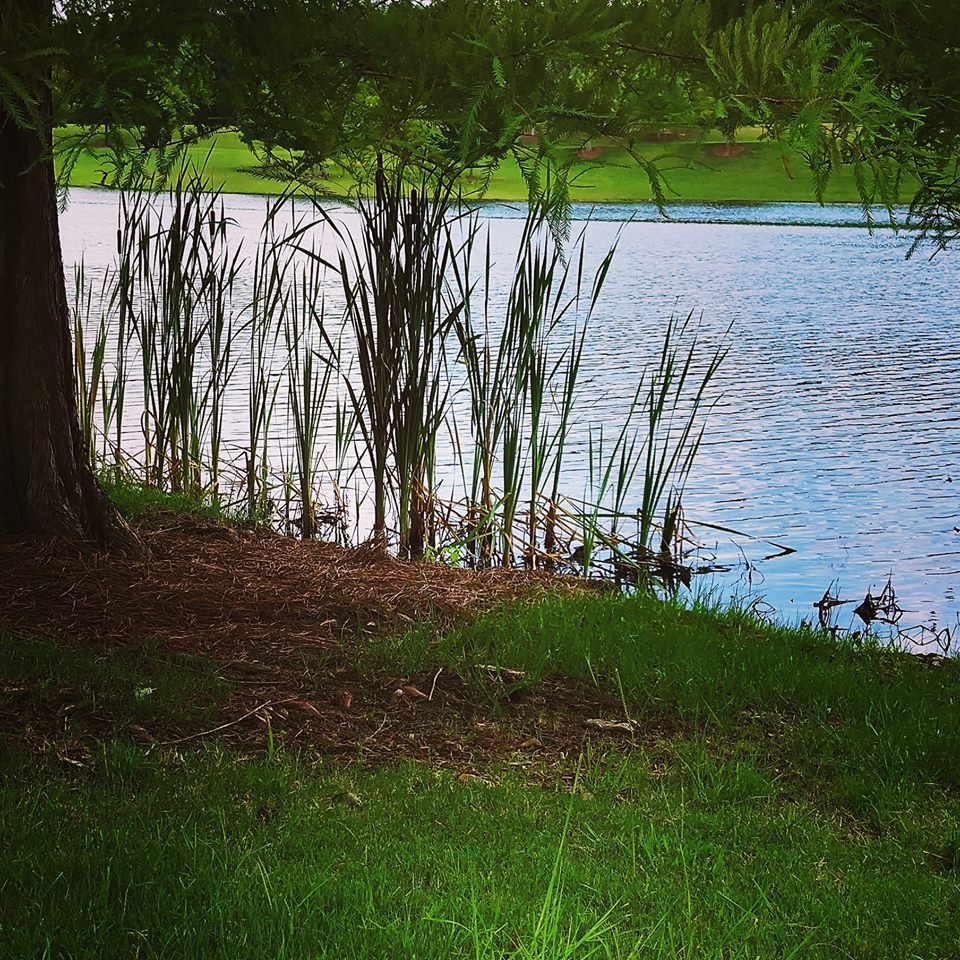 BSmithPowerWash's tweet photo. Happy First Day of Summer! Let us help you enjoy the lazy days of summer! #pressurewashing #concretecleaning #Powerwashing #freeestimates #patios #decks #poolconcrete #sportscomplexes #siding #brick @BSmithPowerWash #ShelbyCounty #Alabama https://t.co/SY6BbIZ1YC