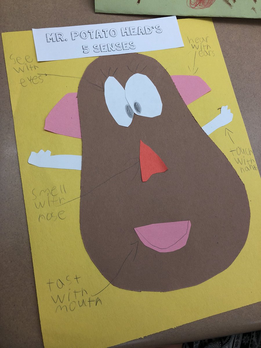learnwithMissH's tweet photo. Having some fun explaining our 5 senses! #MillardStem2018 #Proud2bMPS @lindsey_revers https://t.co/25tAfJByK0
