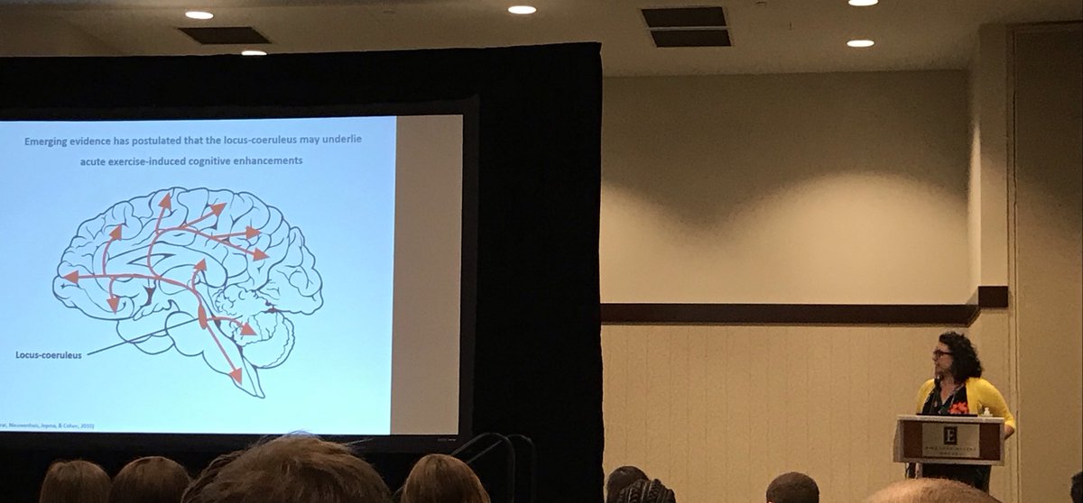 a_dellipaoli's tweet photo. Interesting presentation of the effects of acute exercise on #inhibition, #ERPs and #LocusSorealus by @amandamcgow #HBCL https://t.co/lqFlLkwpac