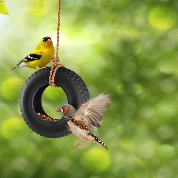 Mzube Co Uk On Twitter Fred Swing Time Ceramic Bird Feeder Cool