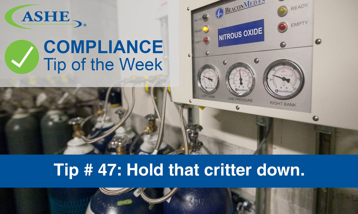 ASHEAHA's tweet photo. What does NFPA 99: 2012 have to say about gas cylinder storage? Find the answer in the latest #ASHEComplianceTip. https://t.co/SjMD3cVvW3 https://t.co/MyOvndYrnN
