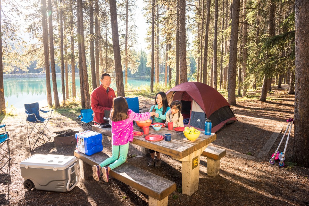 AdventureSmart's tweet image. Taking your kids #camping this summer? Teach them the #HugATree rules before you go! Learn about them here: ow.ly/tlaI30kgOS9
#AdventureSmart #HugaTree #Summer #FirstDayofSummer #Camping #Outdoors
