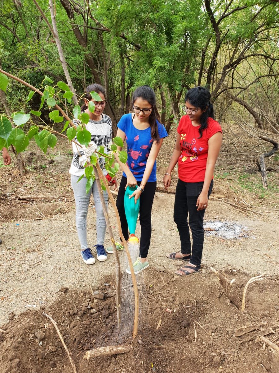 DoSaveIt's tweet photo. First tree plantation of the season. The plastic bags carrying the trees will be recycled.
With the students and faculties of Matrix School of Management Studies
#SaveEnvironmentSaveLives
#BeatingPlasticPollution https://t.co/XFkSIkcZUu