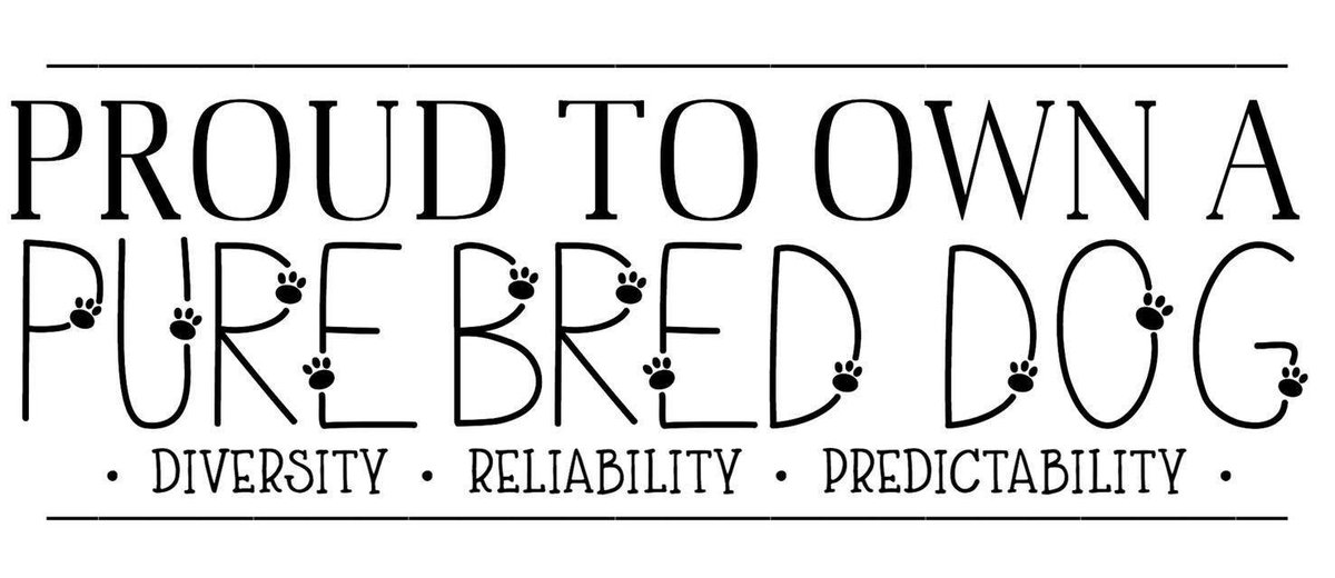 thatsabulldog's tweet photo. #Bulldog #bulldogsofinstagram  #bulldogs #bulldoglove #bulldoglife #bulldogpuppy #bulldogsofig #bulldogram   #bulldogworld  #bulldogsofinsta #bulldognation #bulldogsworldwide #akcpurebredpreservationbreeder #healthtestedparents #showdogs #showdoglife #showdogsofinstagram https://t.co/IY3KVawwJ1