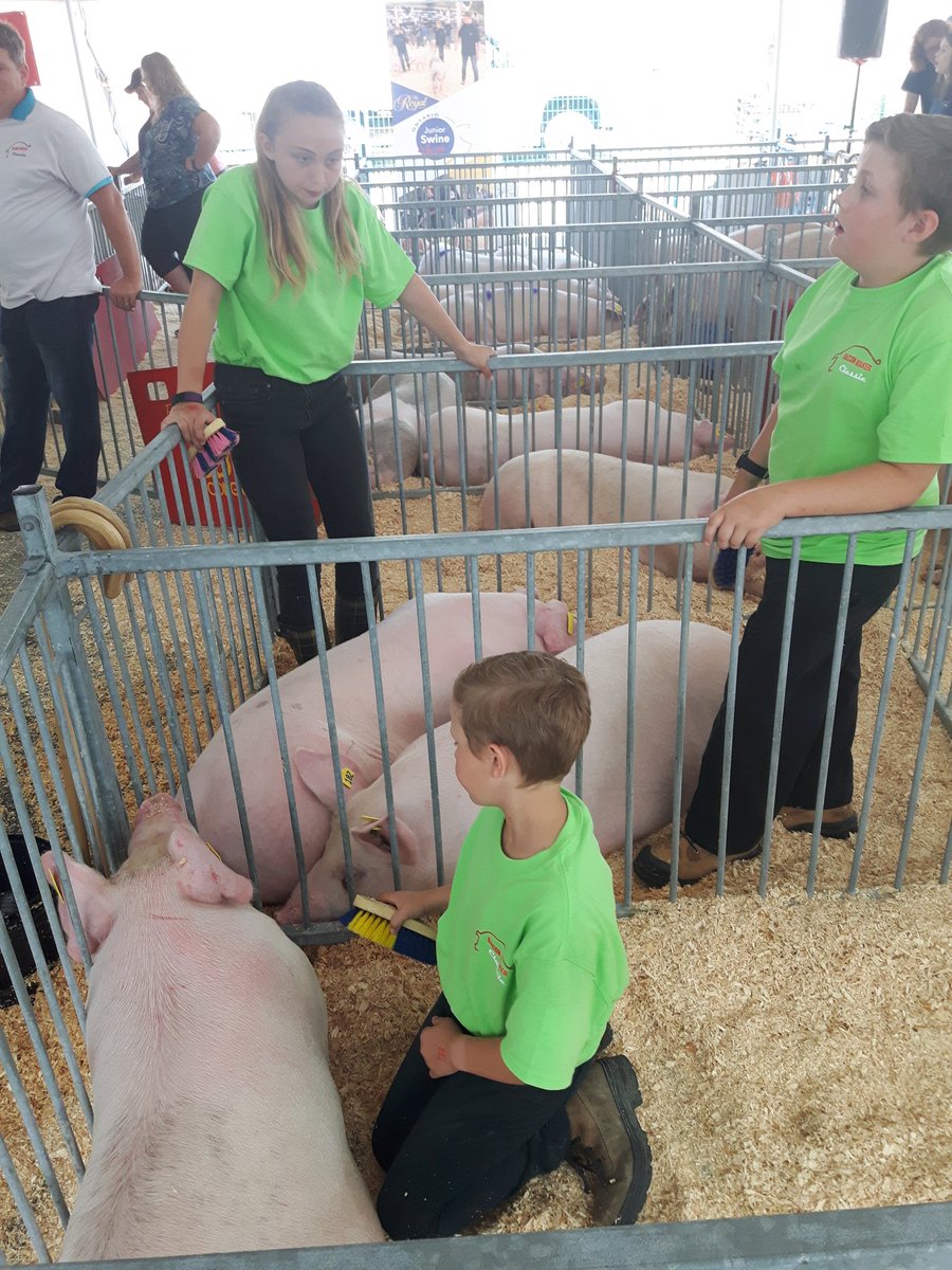 BCNmkr2's tweet photo. #KindOfAPigDeal #ontarioporkproud #baconmakerclassic https://t.co/zrQQD1Qfl6