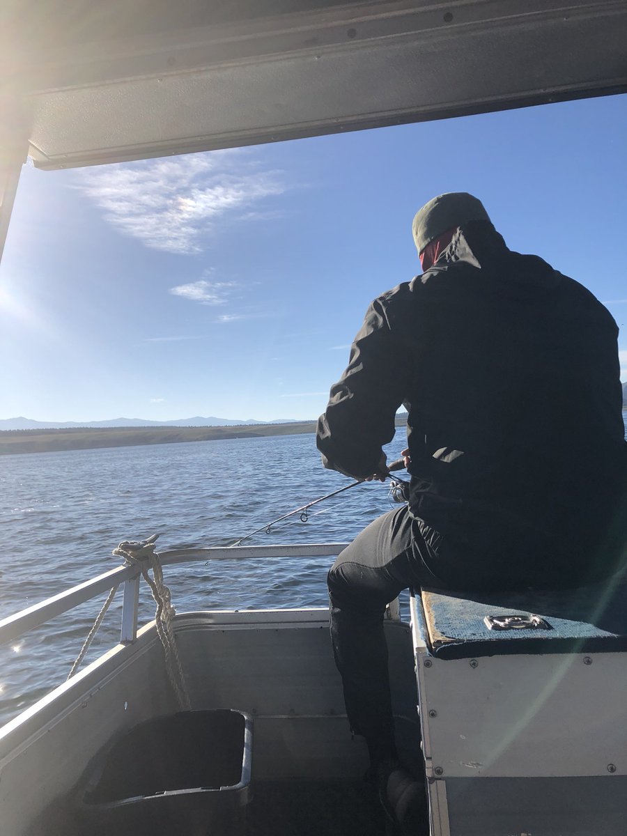 Bing Chilling tweet media