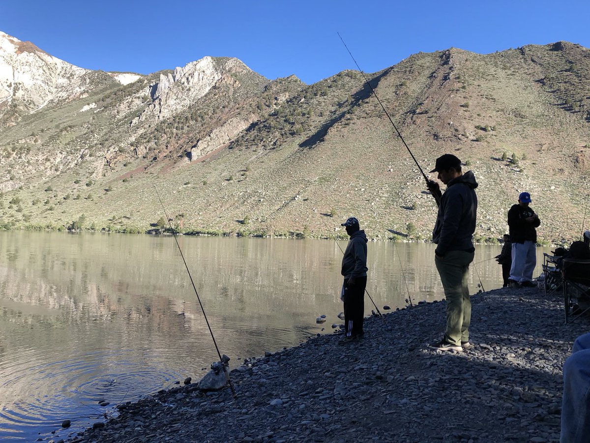 Bing Chilling tweet media