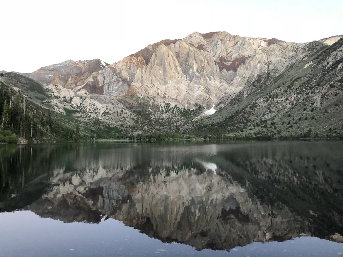 Bing Chilling tweet media