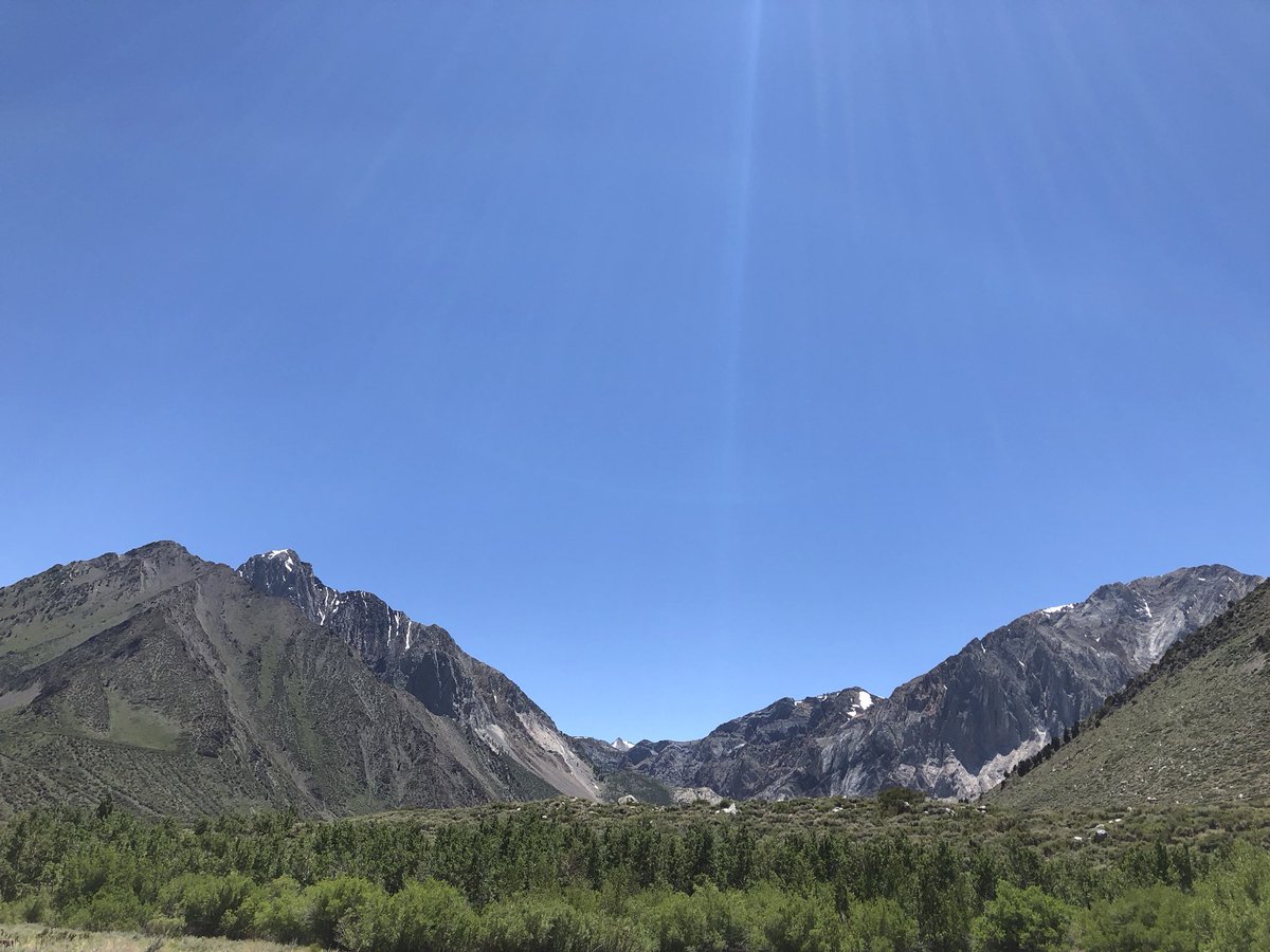 Bing Chilling tweet media