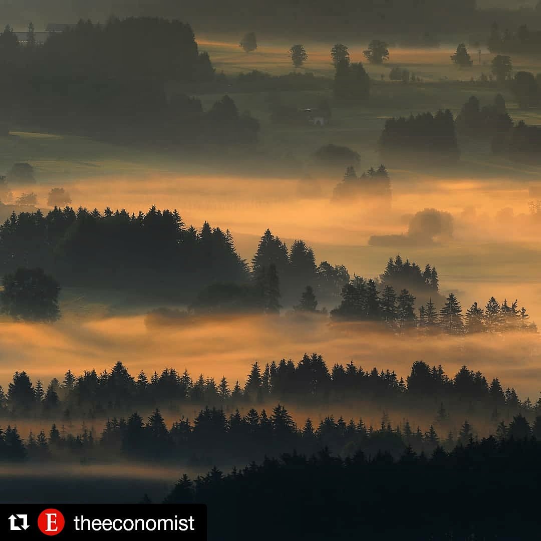 aTickingTimebom's tweet photo. If this is how brain fog would literally look in my brain, it would be awesome....but it's sadly not..π·π
#brainfogsucks
#livingwithlyme #LymeDisease https://t.co/6YeyiKauqP