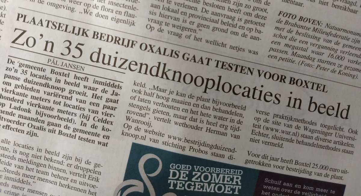 CdaBoxtel's tweet image. Eindelijk serieuze aanpak Japanse Duizendknoop #Boxtel. Ook blij dat lokaal bedrijf Oxalis deze opdracht heeft gekregen. Vaak aandacht voor gevraagd.