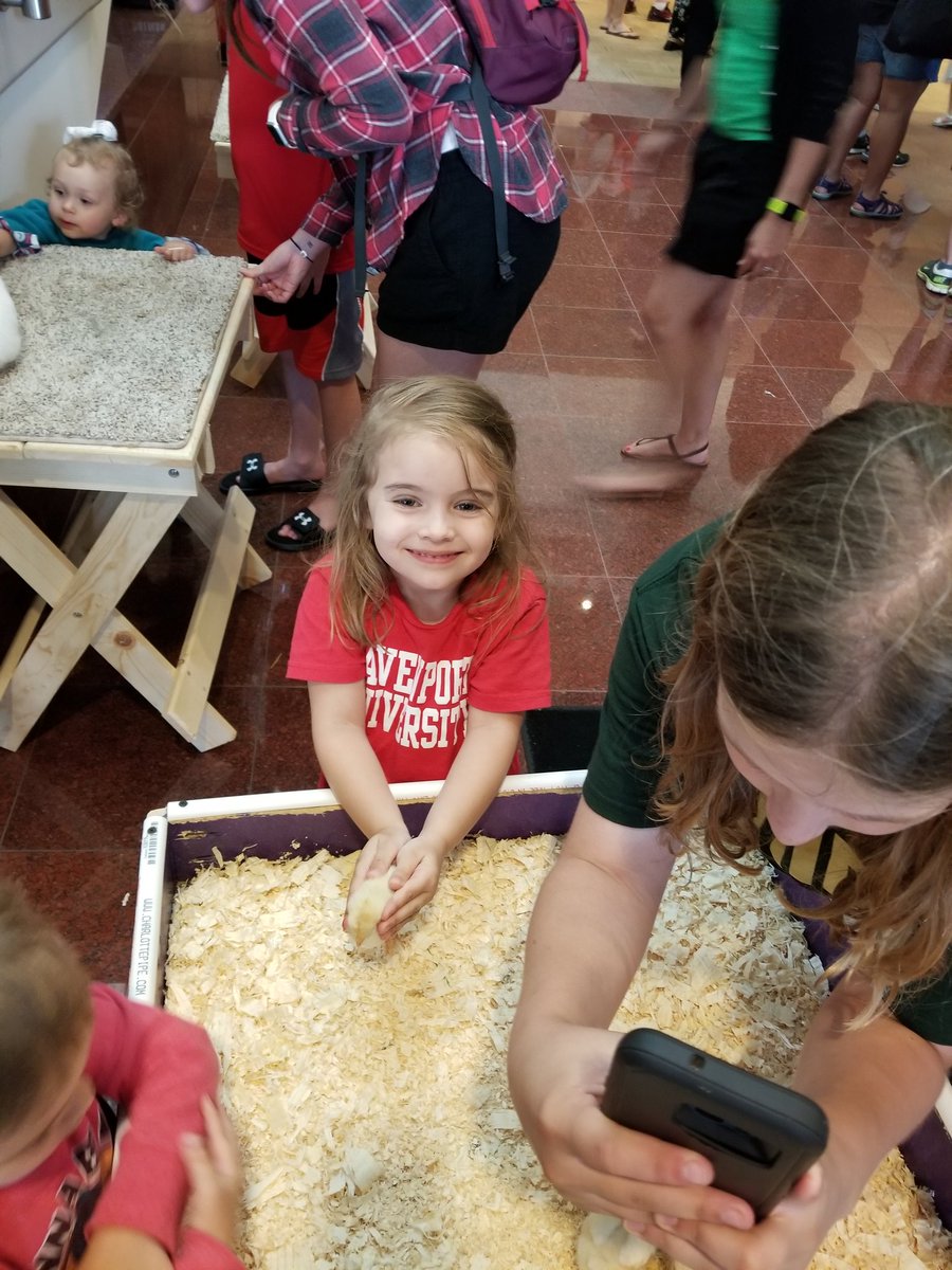 MrsMapleMitten's tweet photo. Huge thank you to Davenport for a great bring-your-kid-to-work event! #davenportuniversity #dupride #davenport #gopanthers #urbaneddu #futurealumni #stayinschool https://t.co/X3HnysJ0Wh