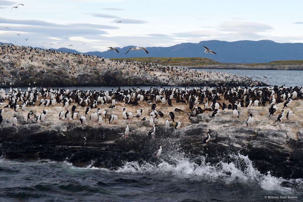 DYSA_Surtrek's tweet photo. Visiting the End of the World: 10 Things to Do in Ushuaia, #Argentina
#travelblog #TravelTips #Argentinatrip #Ushuaia #TravelTips #DiscoverSouthAmerica #travelaroundtheworld #southamerica #traveling #Argentinatravel #casapueblo #cnntravel Courtesy: https://t.co/kqVgHTfyxd https://t.co/KkY7gSEo45