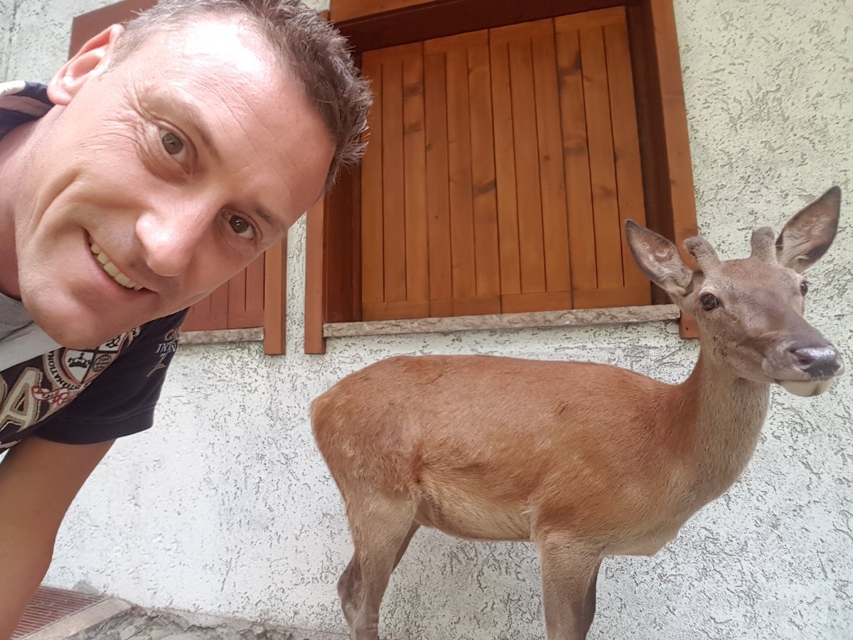 Garnì Ongaro (@garnongaro) on Twitter photo 