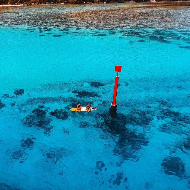 eMxPi's tweet photo. #paddle resting above the clear #blue #water of #moorea #frenchpolynesia #adayapic2018 #undiscover shot with @djiglobal @djiphantom #drone #dji #phantom4 #wildernessculture #wilderness #dronephotography #dronestagram #picoftheday #bee2b #lightmob #shotof… https://t.co/pT0cx2MBTg https://t.co/mDhI6Rcdrj