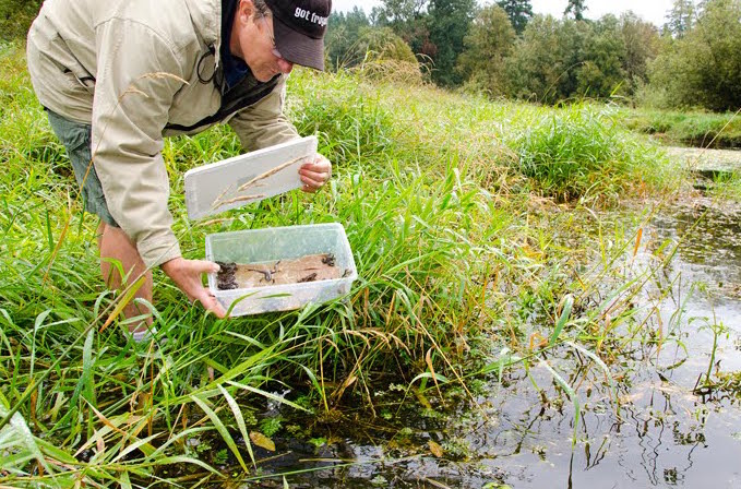 Very excited to be kicking off the <a href="/WDFW/">Washington Department of Fish & Wildlife</a> Washington Department of Fish and Wildlife #Drupal 8 project w/ partner <a href="/AnthroTechUX/">Anthro-Tech</a>! What a great group of folks to help transform our State's access to natural resources and outdoor activities!