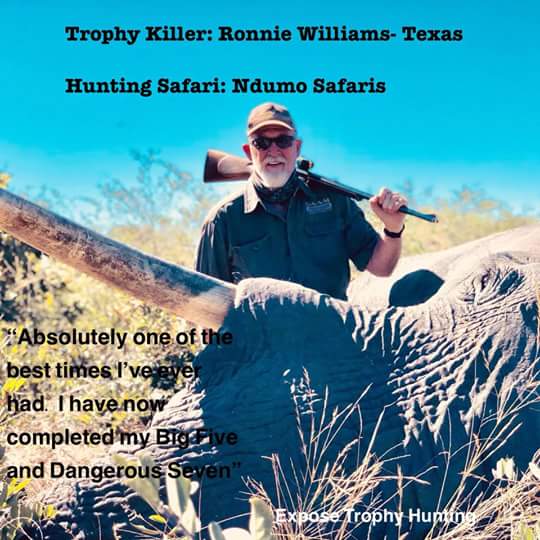 W4W_Int's tweet image. #ExposeTrophyHunting