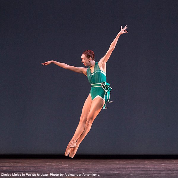 nationalballet's tweet photo. Attending #PazdelaJollaNBC &amp; #CactiNBC &amp; #TheManinBlackNBC? Karen Kain primes you on what you need to know >> https://t.co/HvIEupePgj https://t.co/HXB7eMjKVF