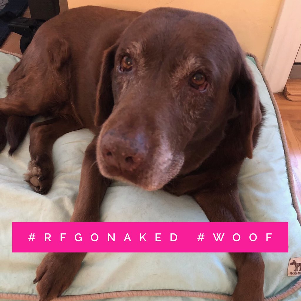 KirMennetti's tweet photo. #RFGoNaked #woof https://t.co/uPkXOyLQbb